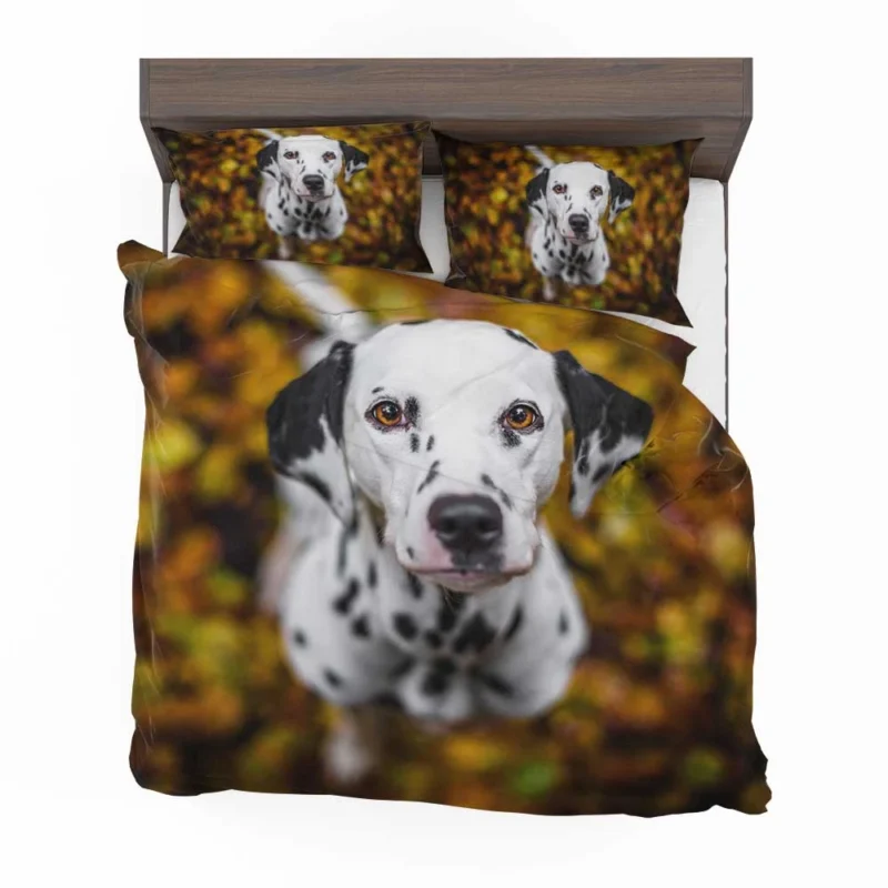 Bokeh Background Dalmatian: Dalmatian Quartet Bedding Set 1