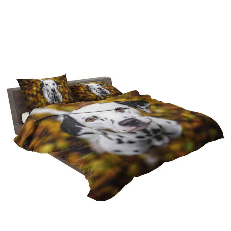 Bokeh Background Dalmatian: Dalmatian Quartet Bedding Set 2