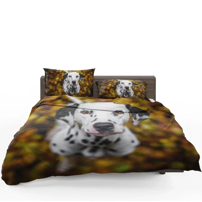 Bokeh Background Dalmatian: Dalmatian Quartet Bedding Set