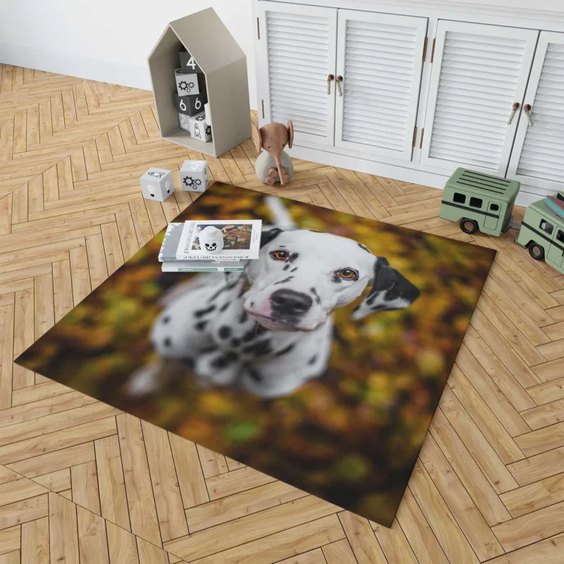 Bokeh Background Dalmatian: Dalmatian Quartet Floor Rug 1