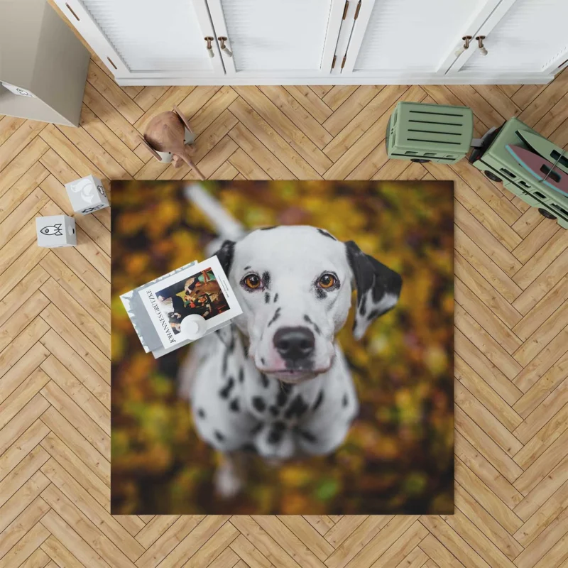 Bokeh Background Dalmatian: Dalmatian Quartet Floor Rug