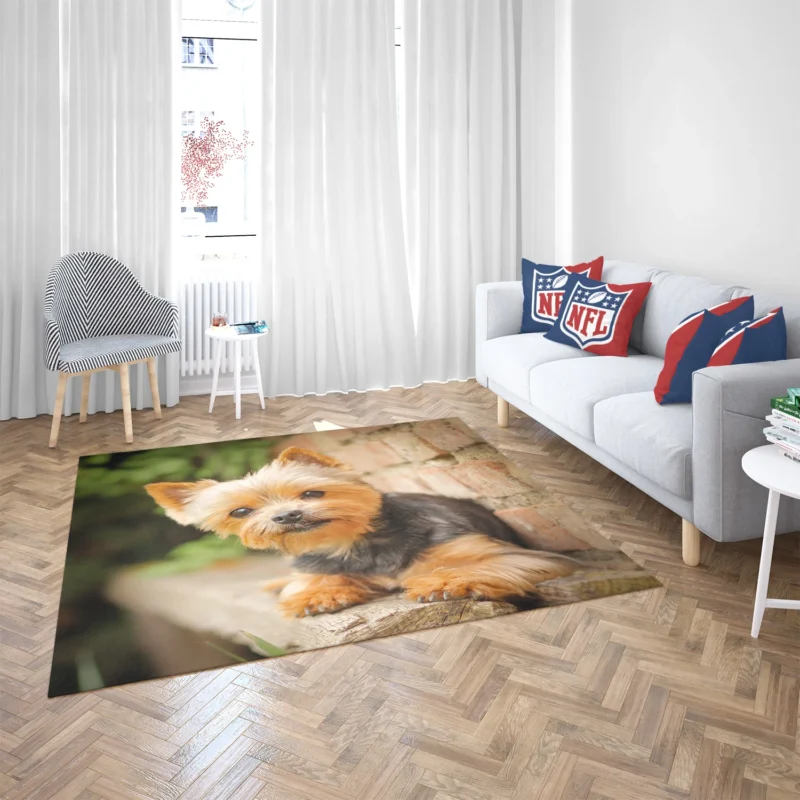 Bokeh Beauty: Silky Terrier Quartet Floor Rug 2