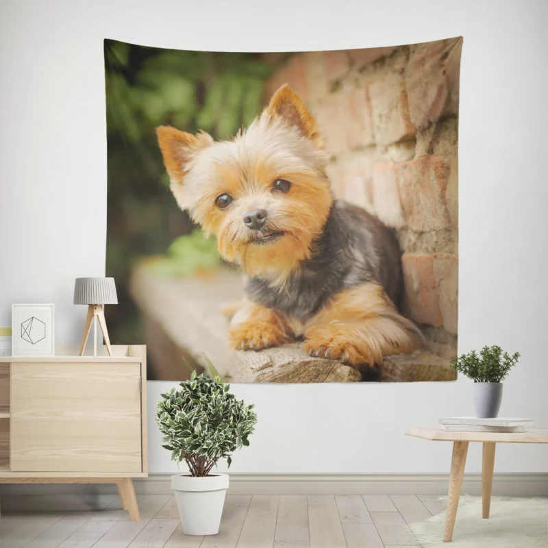 Bokeh Beauty  Silky Terrier Quartet Wall Tapestry