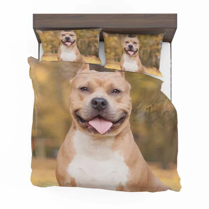 Bokeh Bliss: Pit Bull Quartet Bedding Set 1