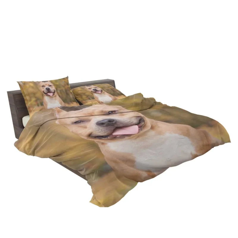 Bokeh Bliss: Pit Bull Quartet Bedding Set 2