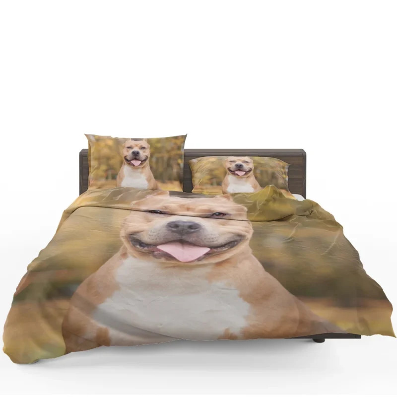 Bokeh Bliss: Pit Bull Quartet Bedding Set