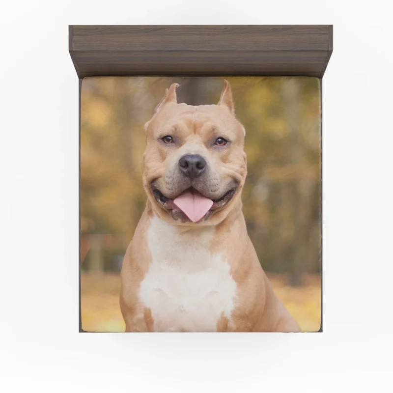 Bokeh Bliss: Pit Bull Quartet Fitted Sheet