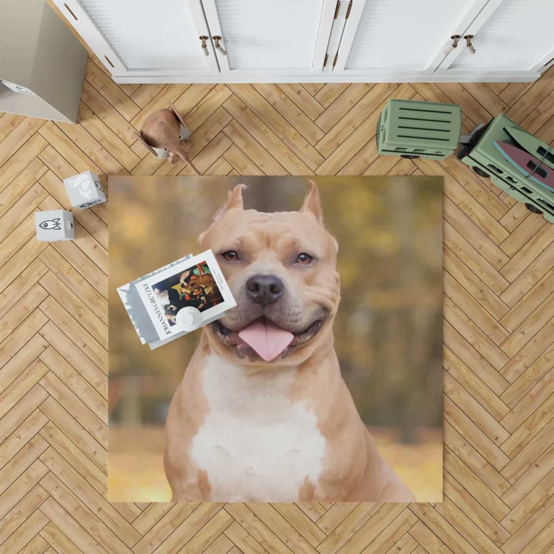 Bokeh Bliss: Pit Bull Quartet Floor Rug