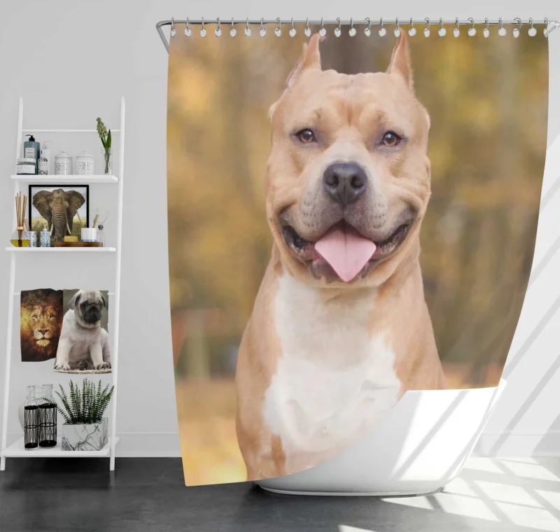 Bokeh Bliss: Pit Bull Quartet Shower Curtain