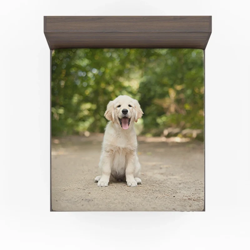 Bokeh Cuteness: Labrador Puppy Quartet Fitted Sheet