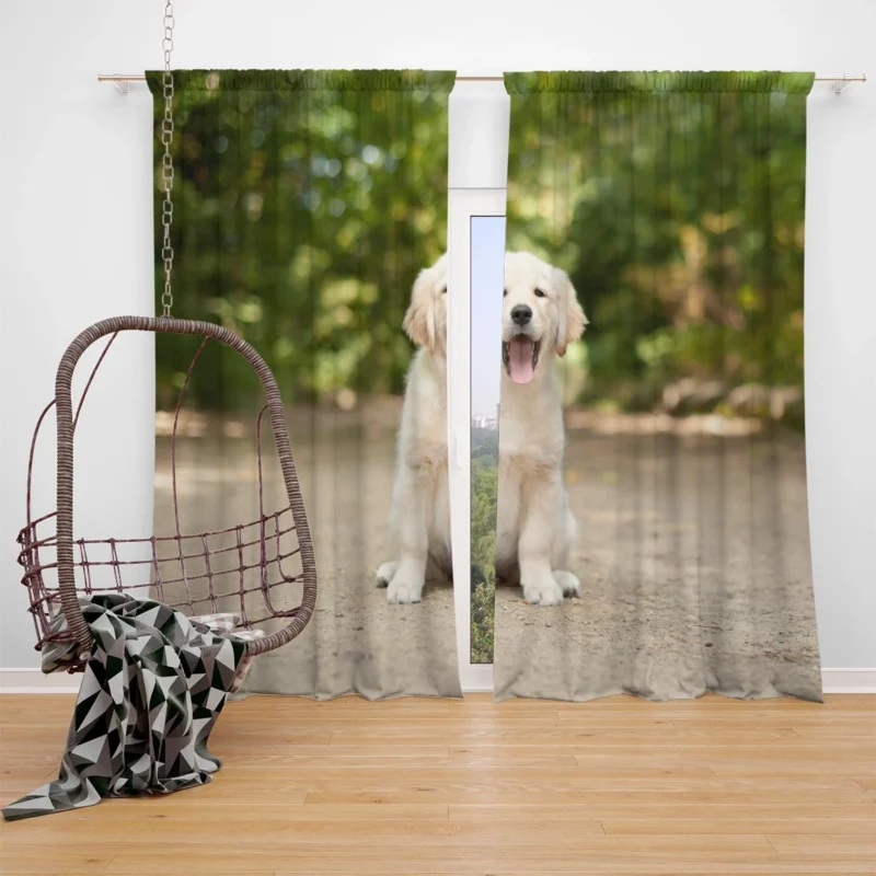 Bokeh Cuteness: Labrador Puppy Quartet Window Curtain