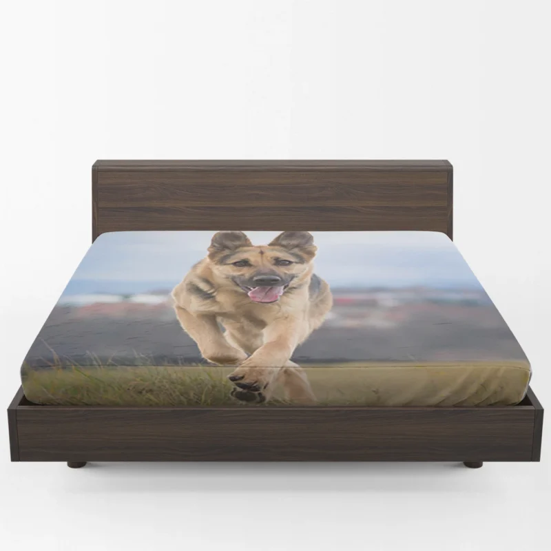 Bokeh Elegance: German Shepherd Charm Fitted Sheet 1