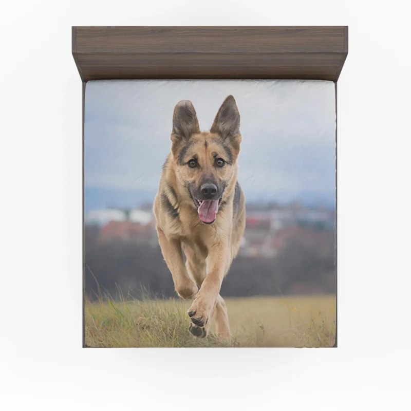 Bokeh Elegance: German Shepherd Charm Fitted Sheet