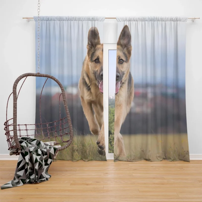 Bokeh Elegance: German Shepherd Charm Window Curtain