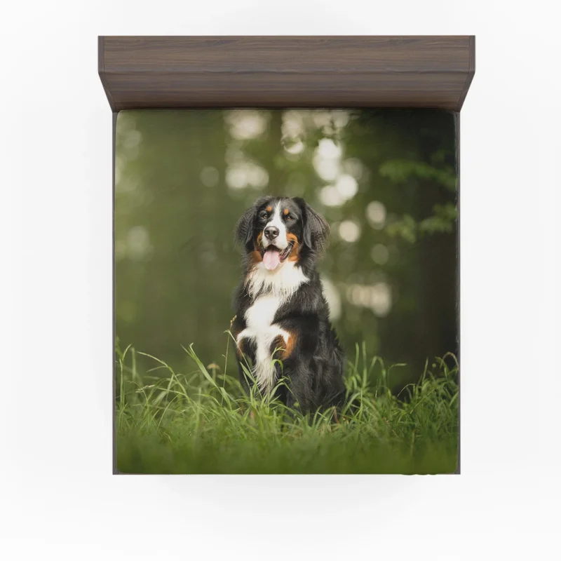 Bokeh-Filled Wonderland: Sennenhund Quartet Fitted Sheet