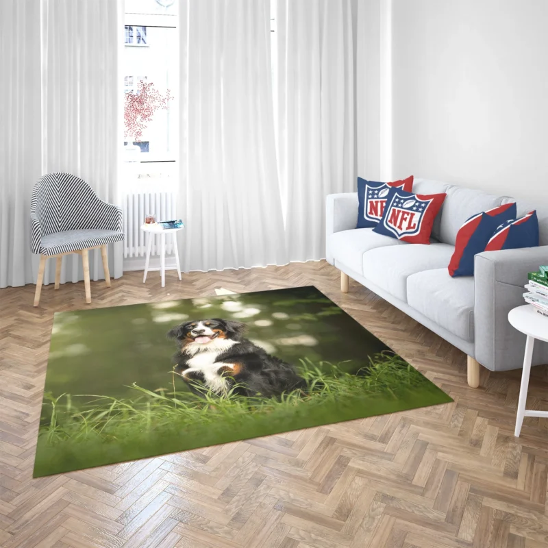 Bokeh-Filled Wonderland: Sennenhund Quartet Floor Rug 2