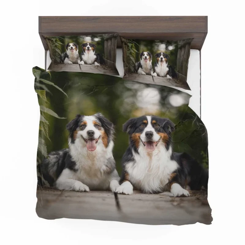 Bokeh and Depth of Field with a Canine Friend: Australian Shepherd Bedding Set 1