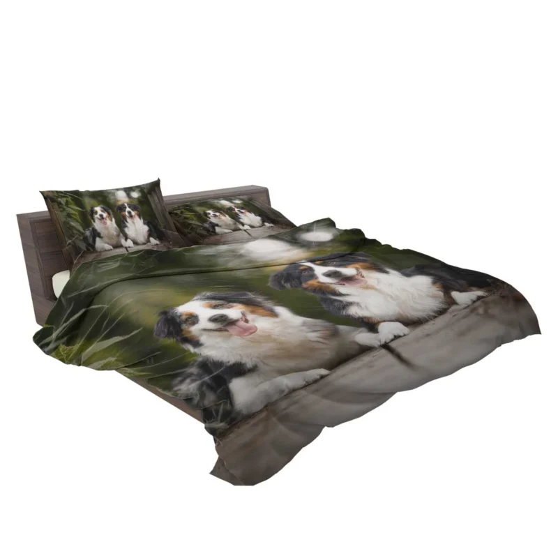 Bokeh and Depth of Field with a Canine Friend: Australian Shepherd Bedding Set 2