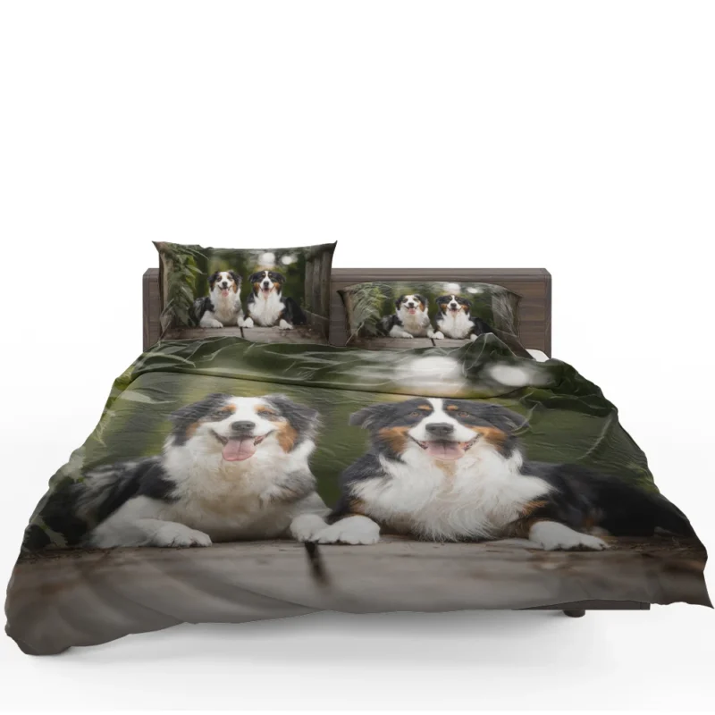 Bokeh and Depth of Field with a Canine Friend: Australian Shepherd Bedding Set