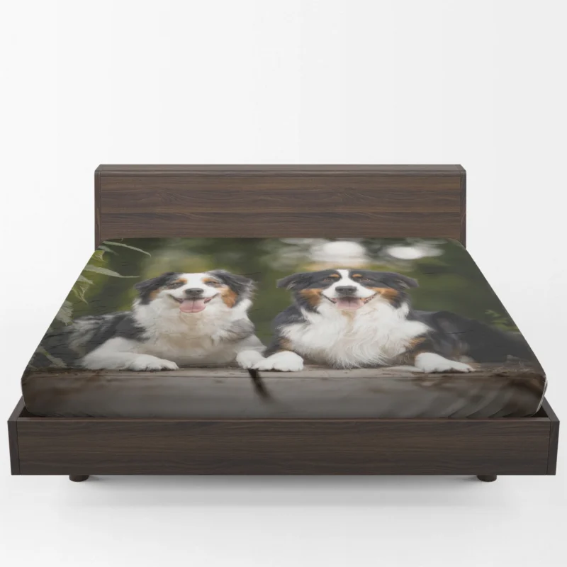 Bokeh and Depth of Field with a Canine Friend: Australian Shepherd Fitted Sheet 1