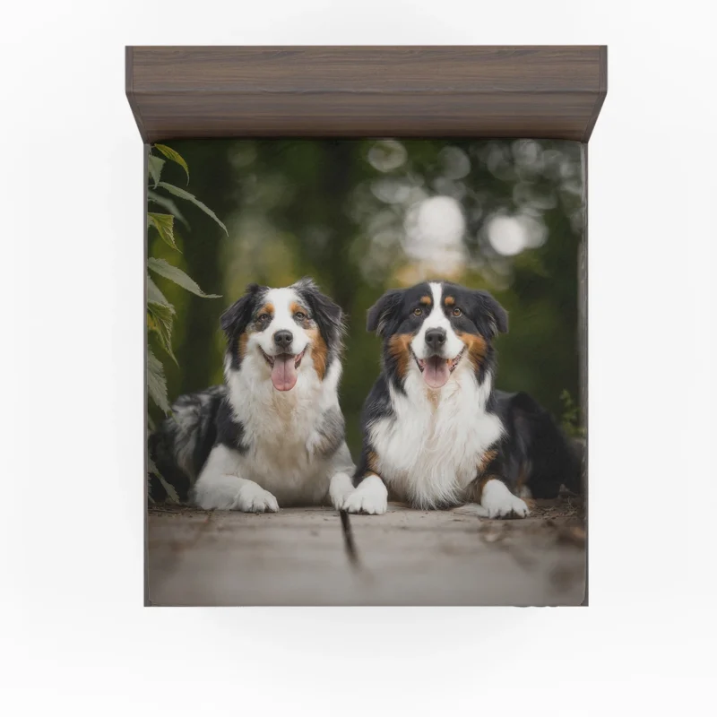 Bokeh and Depth of Field with a Canine Friend: Australian Shepherd Fitted Sheet