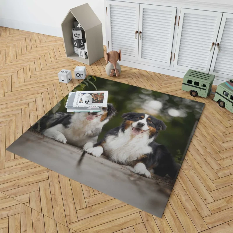 Bokeh and Depth of Field with a Canine Friend: Australian Shepherd Floor Rug 1