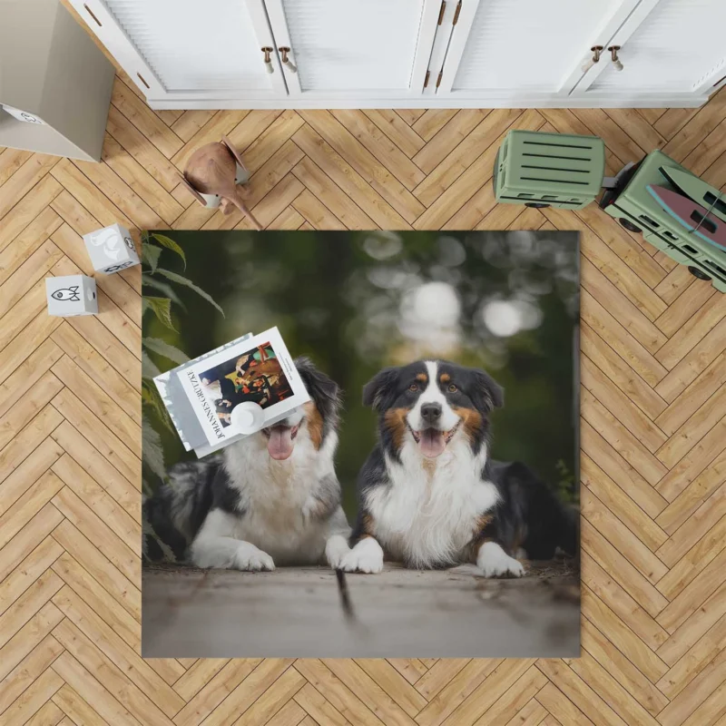 Bokeh and Depth of Field with a Canine Friend: Australian Shepherd Floor Rug