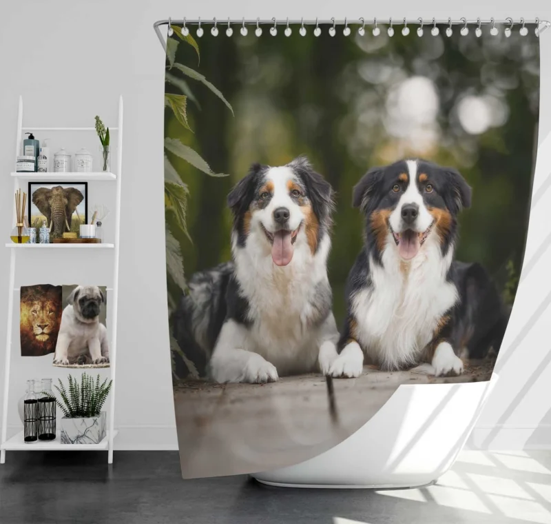 Bokeh and Depth of Field with a Canine Friend: Australian Shepherd Shower Curtain