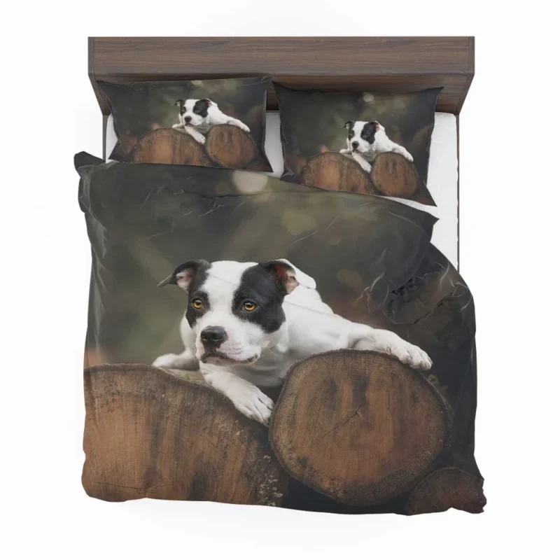 Bold and Beautiful: American Pit Bull Terrier Quartet Bedding Set 1