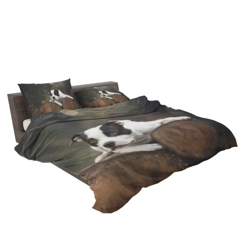 Bold and Beautiful: American Pit Bull Terrier Quartet Bedding Set 2