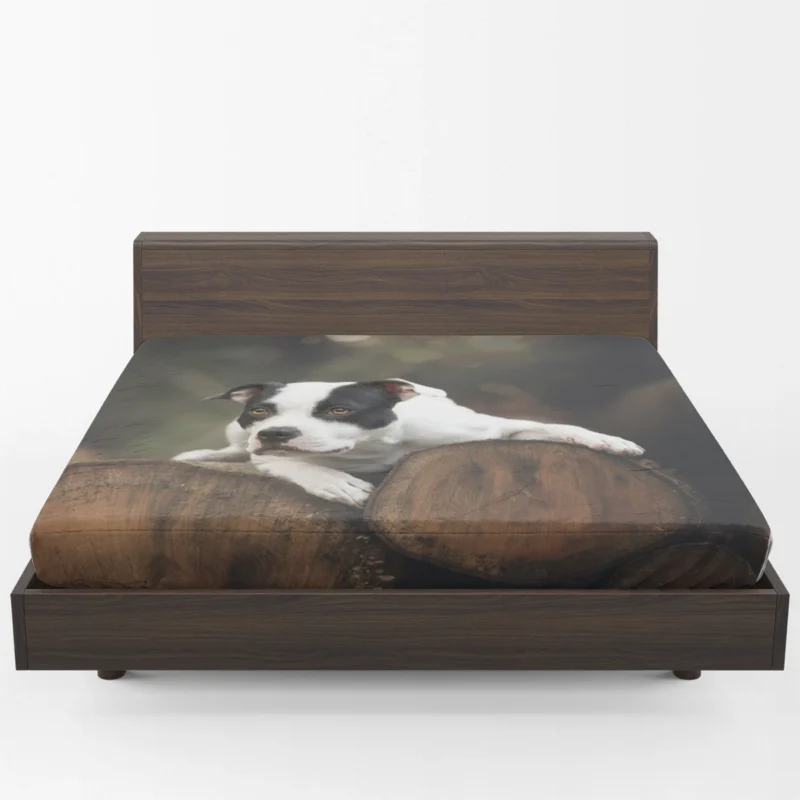 Bold and Beautiful: American Pit Bull Terrier Quartet Fitted Sheet 1