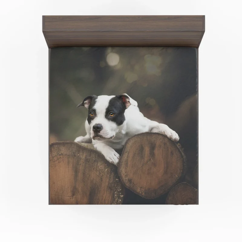 Bold and Beautiful: American Pit Bull Terrier Quartet Fitted Sheet