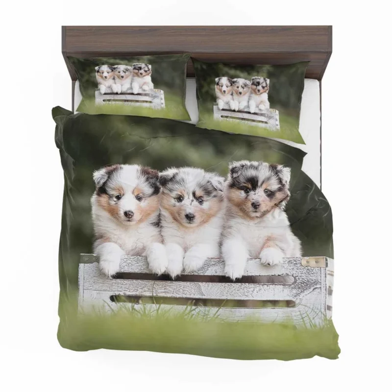 Border Collie Charm with Ba Puppies: Border Collie Bedding Set 1
