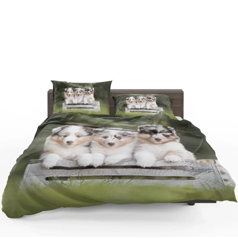 Border Collie Charm with Ba Puppies: Border Collie Bedding Set