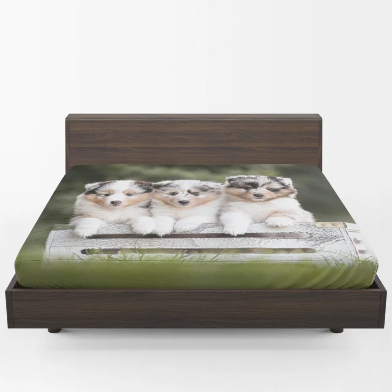 Border Collie Charm with Ba Puppies: Border Collie Fitted Sheet 1