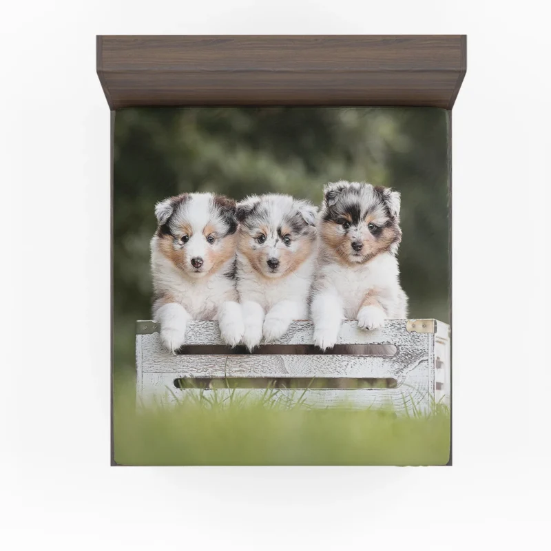 Border Collie Charm with Ba Puppies: Border Collie Fitted Sheet