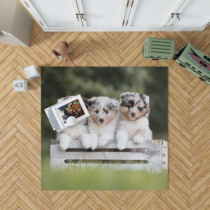 Border Collie Charm with Ba Puppies: Border Collie Floor Rug