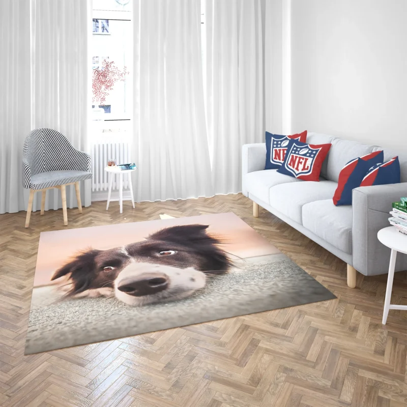 Border Collie Muzzle Resting: Border Collie Floor Rug 2