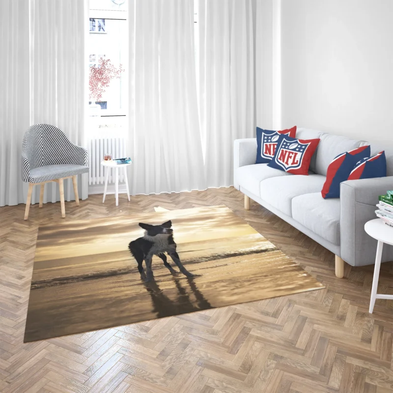 Border Collie Wallpaper Beauty: Border Collie Floor Rug 2