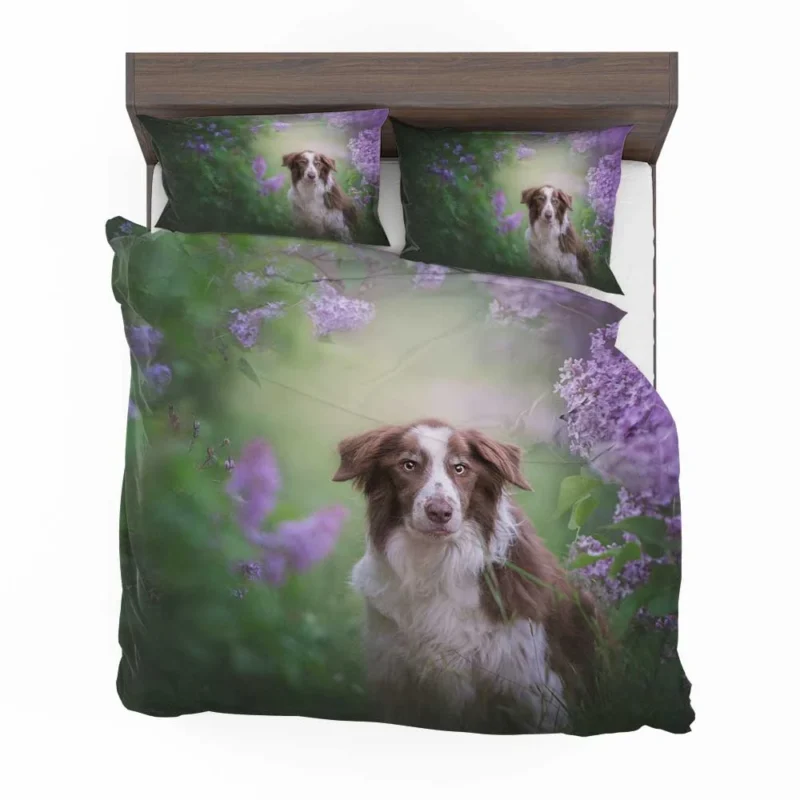 Border Collie and Purple Flower Beauty with Border Collie Bedding Set 1