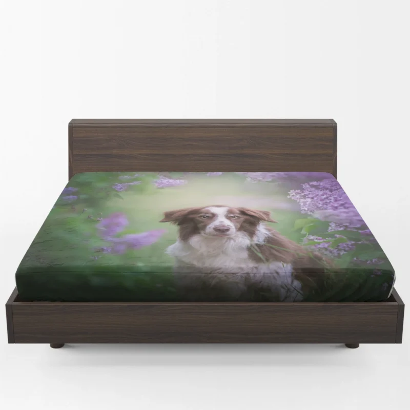 Border Collie and Purple Flower Beauty with Border Collie Fitted Sheet 1