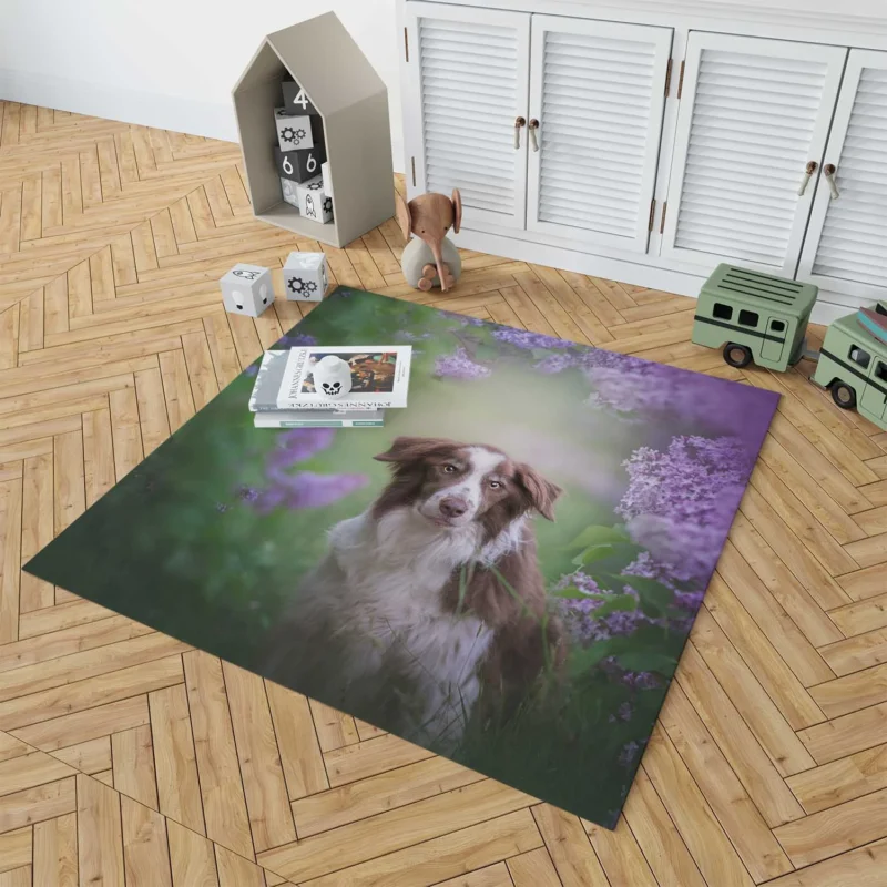 Border Collie and Purple Flower Beauty with Border Collie Floor Rug 1