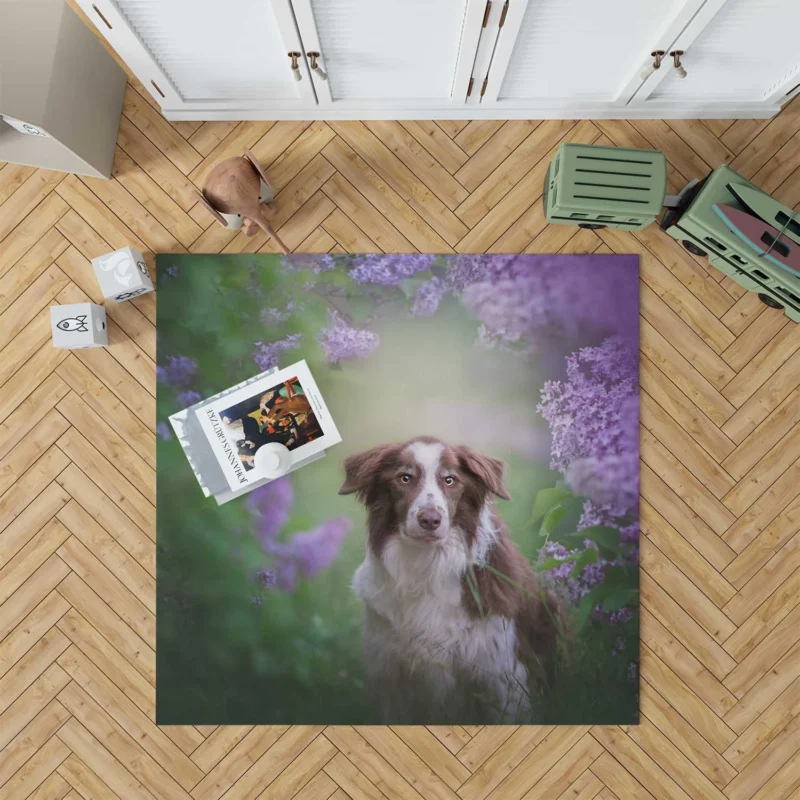 Border Collie and Purple Flower Beauty with Border Collie Floor Rug