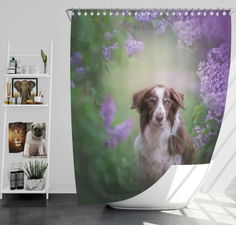 Border Collie and Purple Flower Beauty with Border Collie Shower Curtain