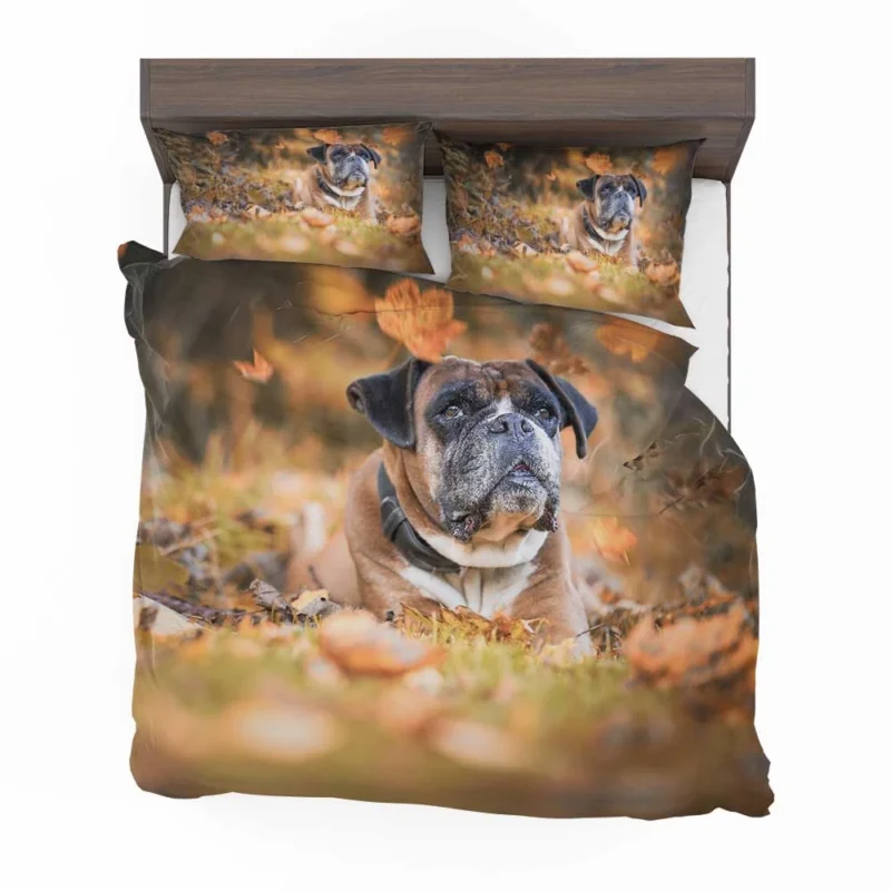 Boxer (Dog) Enjoying Fall Leaves: Boxer Bedding Set 1