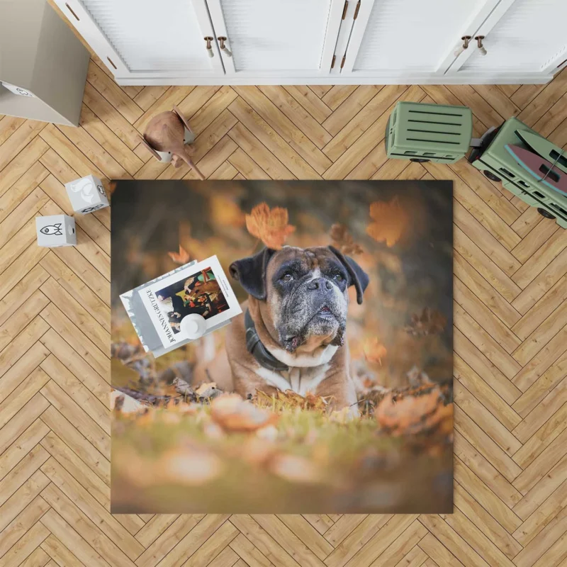 Boxer (Dog) Enjoying Fall Leaves: Boxer Floor Rug