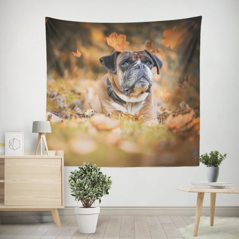 Boxer (Dog) Enjoying Fall Leaves  Boxer Wall Tapestry