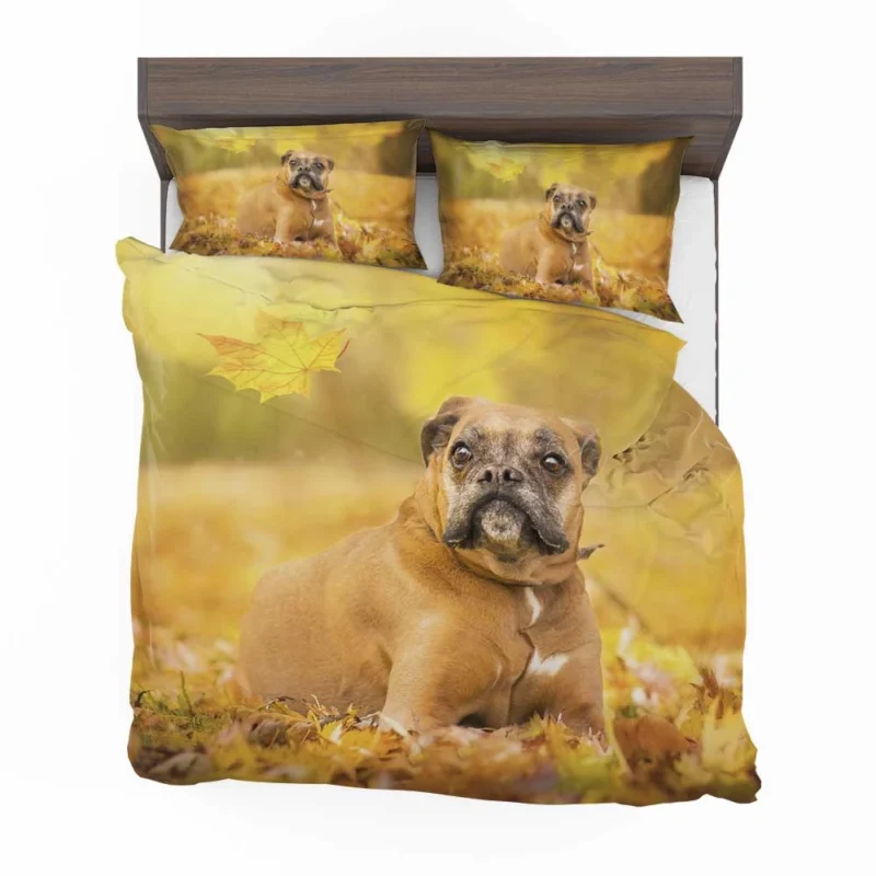 Boxer (Dog) Enjoying Fall with Depth Of Field: Boxer Bedding Set 1
