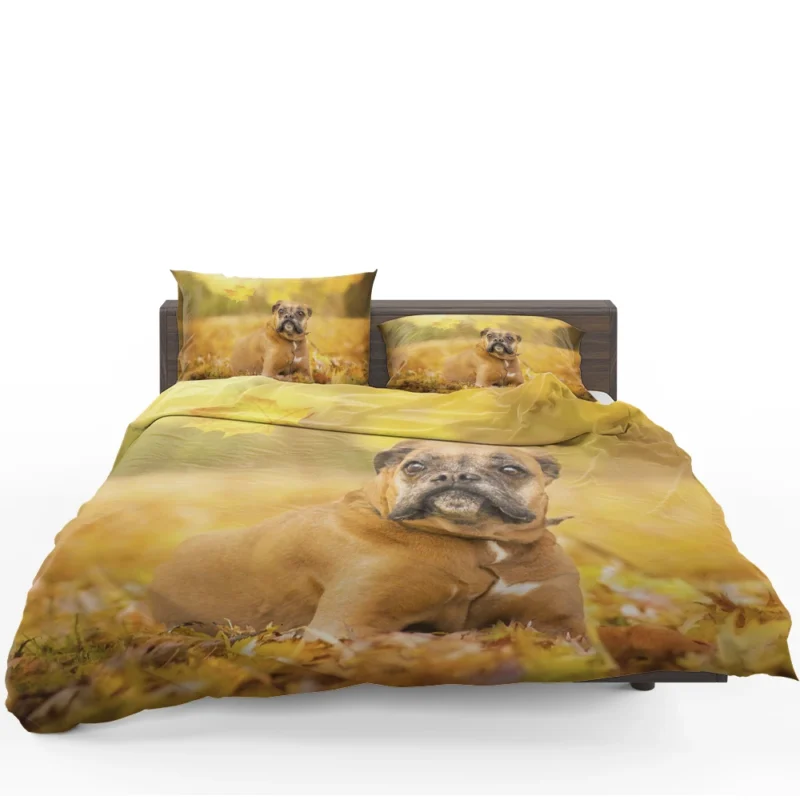 Boxer (Dog) Enjoying Fall with Depth Of Field: Boxer Bedding Set