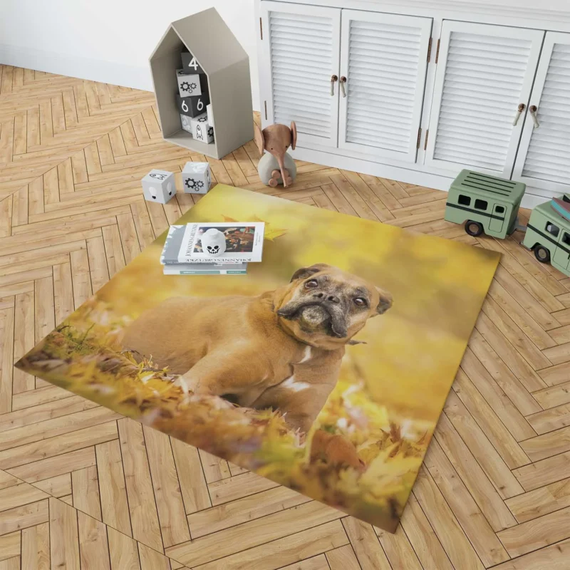 Boxer (Dog) Enjoying Fall with Depth Of Field: Boxer Floor Rug 1